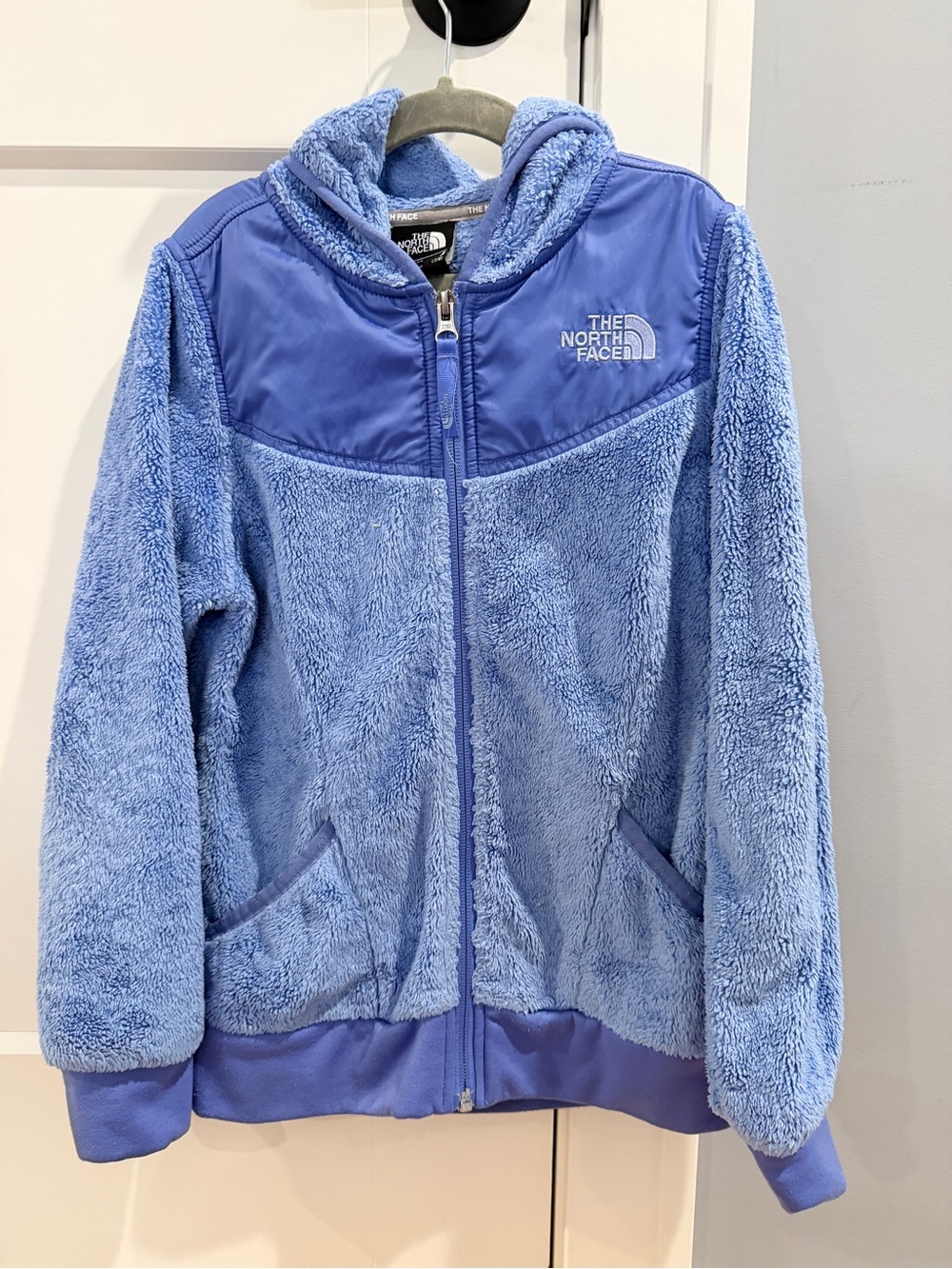The North Face Kids Periwinkle Plush Hooded Fleece Jacket